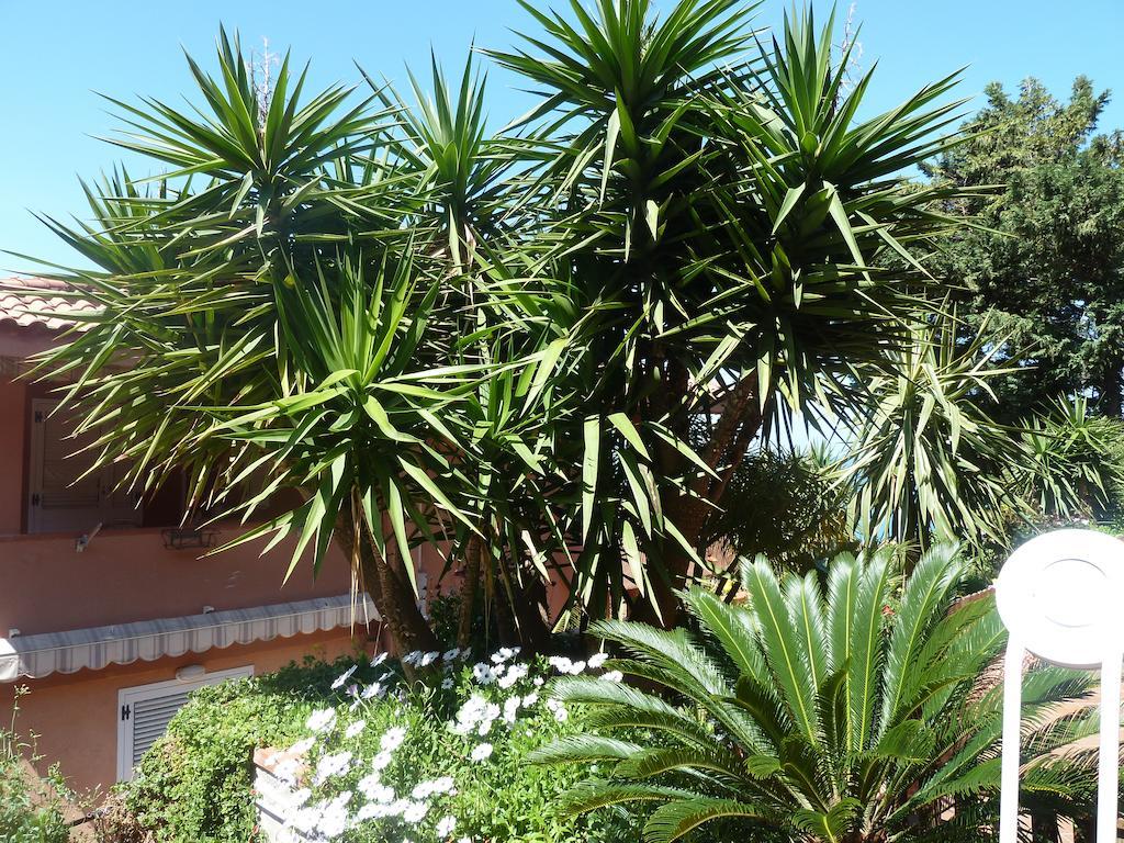 B&B Villa Di Giorgi Cefalù Kültér fotó