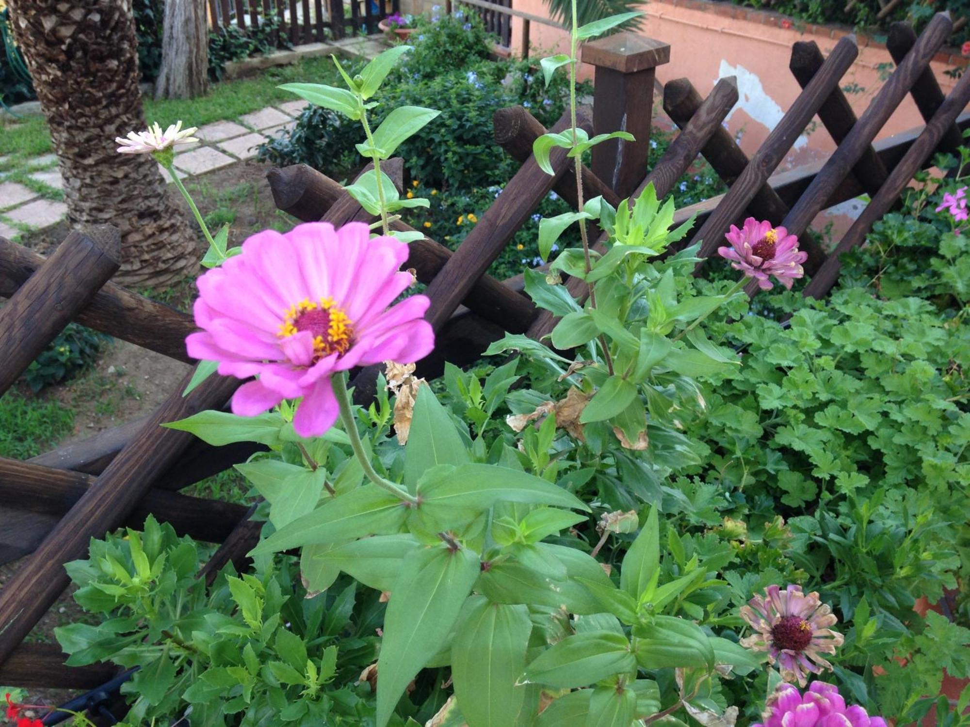 B&B Villa Di Giorgi Cefalù Kültér fotó